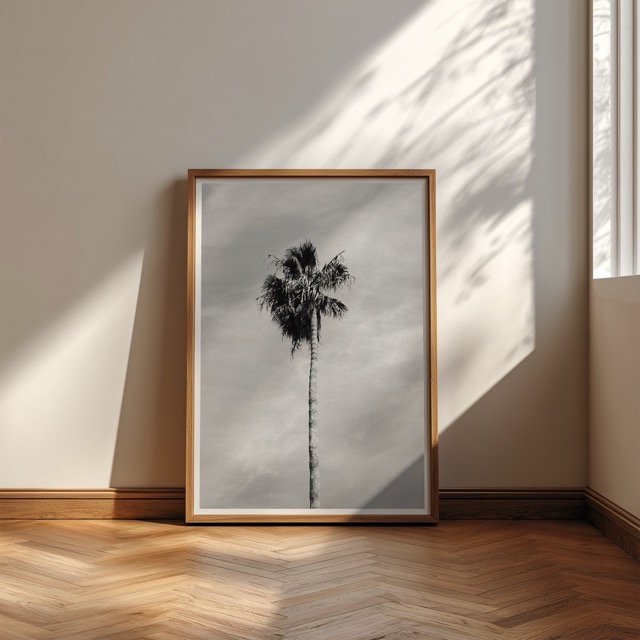 Palm tree - Image 3