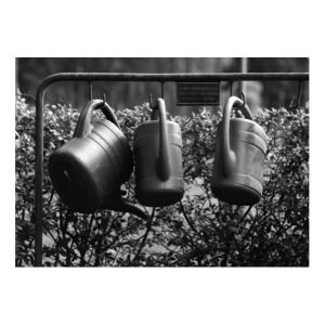 Watering cans